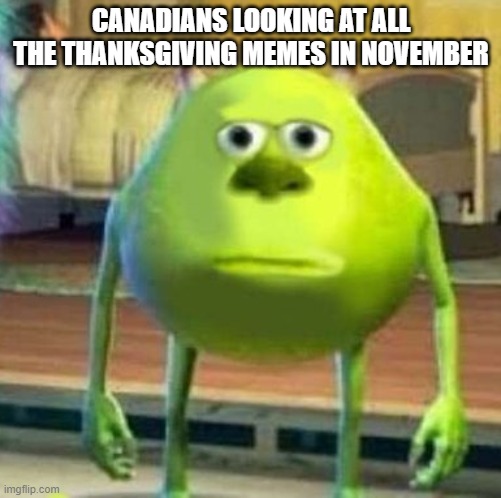 Mike wasowski sully face swap | CANADIANS LOOKING AT ALL THE THANKSGIVING MEMES IN NOVEMBER | image tagged in mike wasowski sully face swap | made w/ Imgflip meme maker