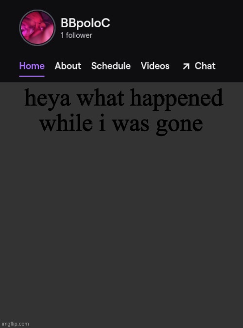 Twitch template | heya what happened while i was gone | image tagged in twitch template | made w/ Imgflip meme maker