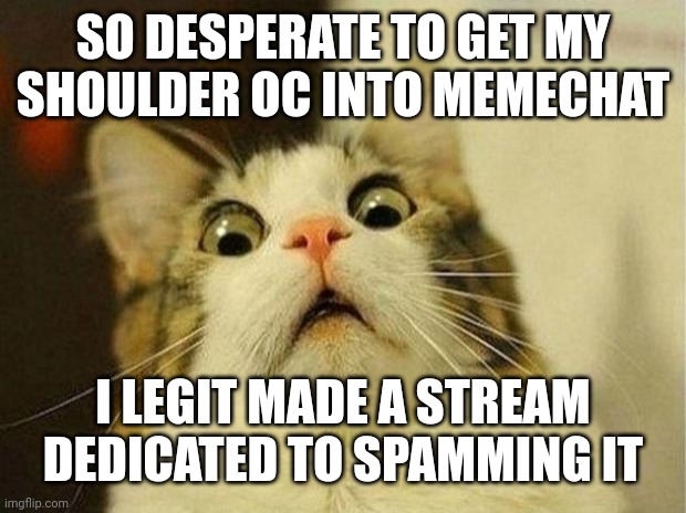 https://imgflip.com/m/Heroine-Bibi | SO DESPERATE TO GET MY SHOULDER OC INTO MEMECHAT; I LEGIT MADE A STREAM DEDICATED TO SPAMMING IT | image tagged in memes,scared cat | made w/ Imgflip meme maker