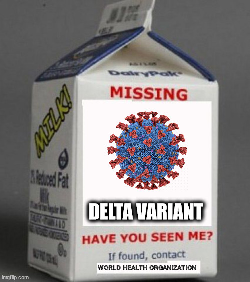 Missing... | DELTA VARIANT; WORLD HEALTH ORGANIZATION | image tagged in milk carton,coronavirus meme | made w/ Imgflip meme maker