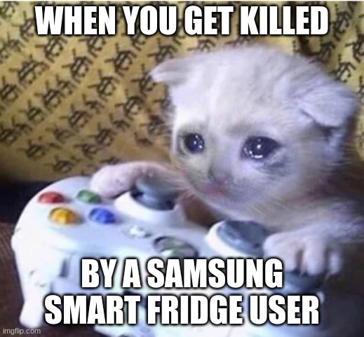 Another Meme | WHEN YOU GET KILLED; BY A SAMSUNG SMART FRIDGE USER | image tagged in sad gaming cat | made w/ Imgflip meme maker