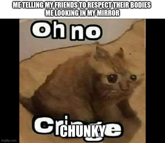 o no | ME TELLING MY FRIENDS TO RESPECT THEIR BODIES 
ME LOOKING IN MY MIRROR; CHUNKY | image tagged in so true | made w/ Imgflip meme maker