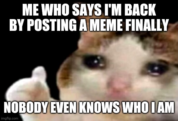 Sad cat thumbs up | ME WHO SAYS I'M BACK BY POSTING A MEME FINALLY; NOBODY EVEN KNOWS WHO I AM | image tagged in sad cat thumbs up | made w/ Imgflip meme maker