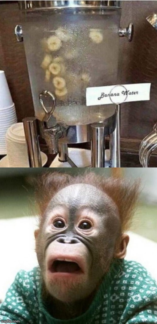 Banana Water | image tagged in shocked monkey,bananas,banana,water,memes,meme | made w/ Imgflip meme maker