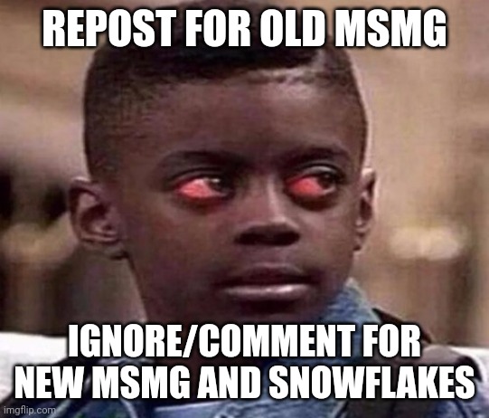 High | REPOST FOR OLD MSMG; IGNORE/COMMENT FOR NEW MSMG AND SNOWFLAKES | image tagged in high kid | made w/ Imgflip meme maker