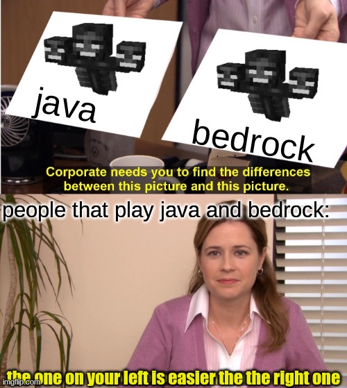 wither | java; bedrock; people that play java and bedrock:; the one on your left is easier the the right one | image tagged in memes,they're the same picture | made w/ Imgflip meme maker