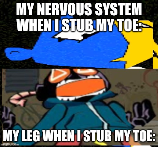 When I stub my toe | MY NERVOUS SYSTEM WHEN I STUB MY TOE:; MY LEG WHEN I STUB MY TOE: | image tagged in injury | made w/ Imgflip meme maker