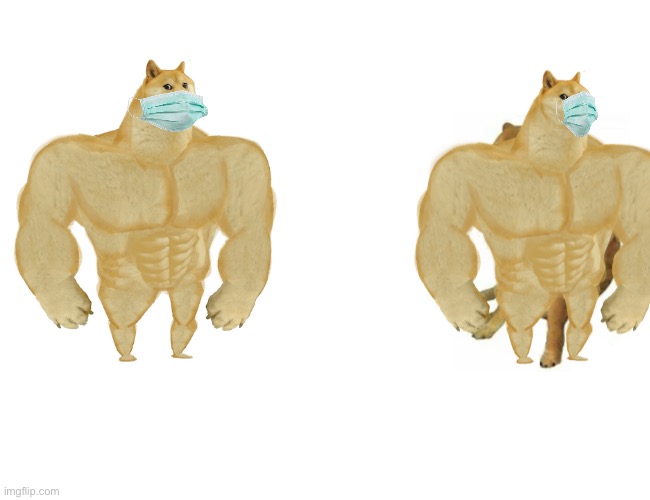 Buff Doge vs. Cheems Meme | image tagged in memes,buff doge vs cheems | made w/ Imgflip meme maker