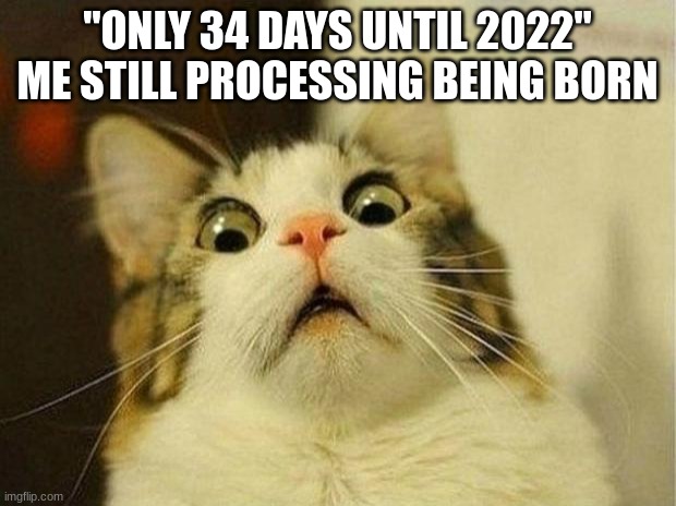 Scared Cat Meme | "ONLY 34 DAYS UNTIL 2022"
ME STILL PROCESSING BEING BORN | image tagged in memes,scared cat | made w/ Imgflip meme maker
