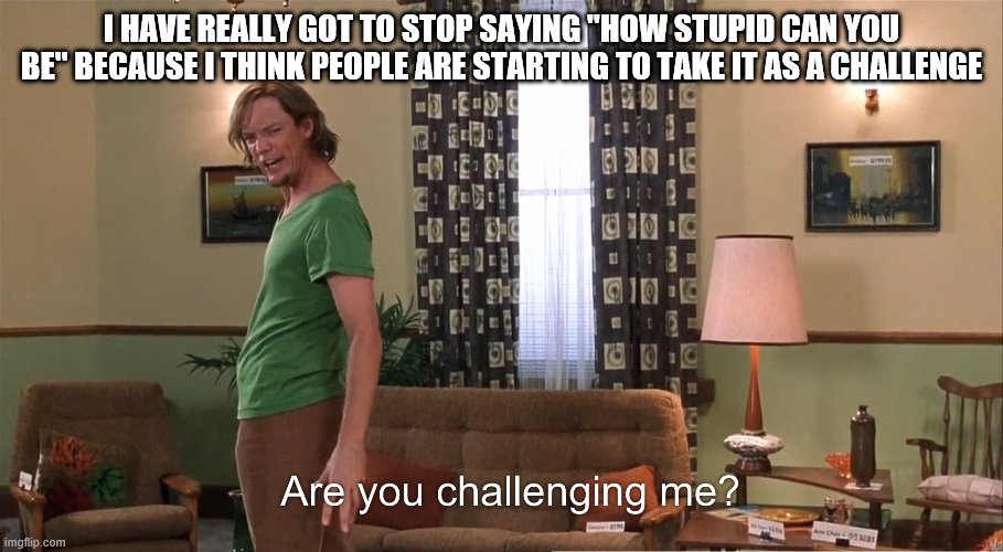 Do people read these? | I HAVE REALLY GOT TO STOP SAYING "HOW STUPID CAN YOU BE" BECAUSE I THINK PEOPLE ARE STARTING TO TAKE IT AS A CHALLENGE | image tagged in are you challenging me | made w/ Imgflip meme maker