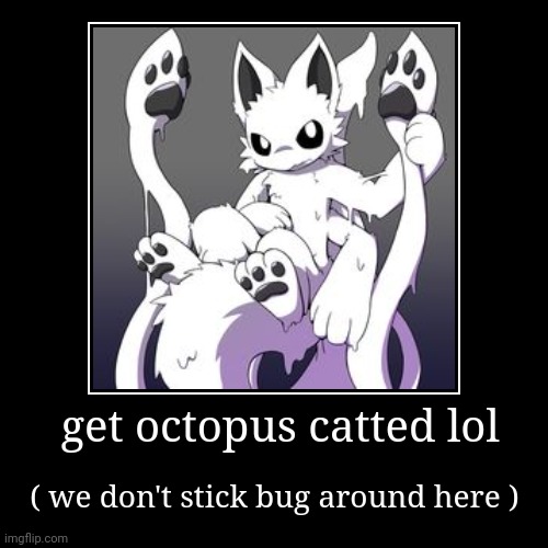 Get octopus catted lol | image tagged in funny,demotivationals | made w/ Imgflip demotivational maker