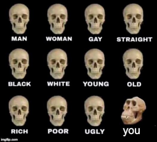 idiot skull | you | image tagged in idiot skull | made w/ Imgflip meme maker