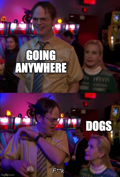F | GOING ANYWHERE; DOGS | image tagged in angela scared dwight | made w/ Imgflip meme maker
