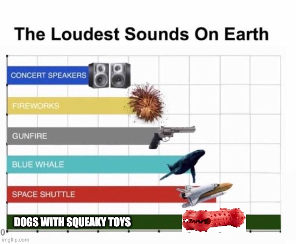doggo | DOGS WITH SQUEAKY TOYS | image tagged in the loudest sounds on earth | made w/ Imgflip meme maker