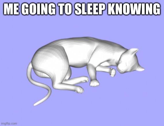 ME GOING TO SLEEP KNOWING | image tagged in low poly cat sleeping | made w/ Imgflip meme maker