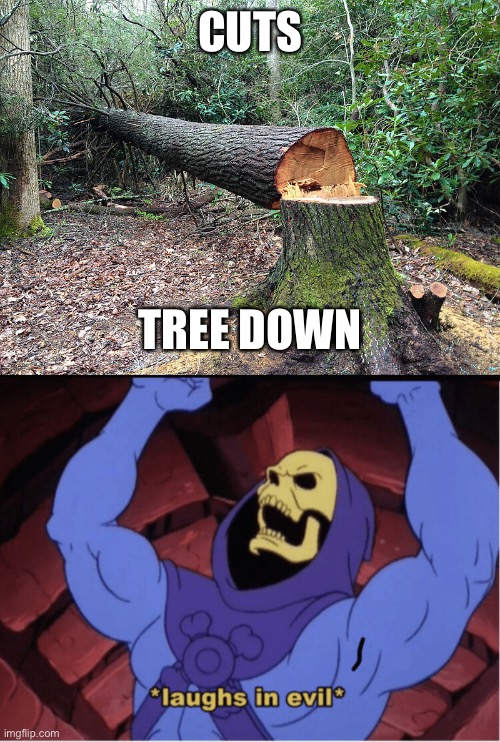 CUTS TREE DOWN | image tagged in cut tree | made w/ Imgflip meme maker