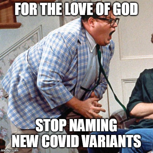 Chris Farley For the love of god | FOR THE LOVE OF GOD; STOP NAMING NEW COVID VARIANTS | image tagged in chris farley for the love of god,meme,memes,covid,omicron | made w/ Imgflip meme maker