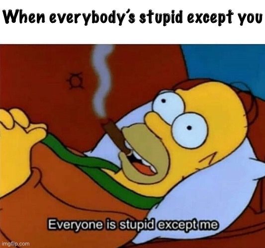 Everyone is stupid except me | When everybody’s stupid except you | image tagged in everyone is stupid except me | made w/ Imgflip meme maker