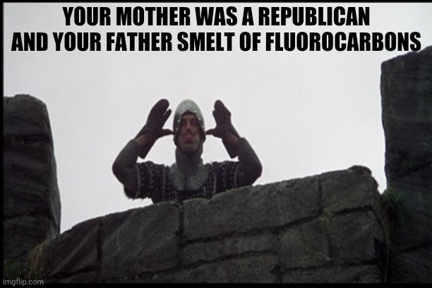 YOUR MOTHER WAS A REPUBLICAN AND YOUR FATHER SMELT OF FLUOROCARBONS | made w/ Imgflip meme maker