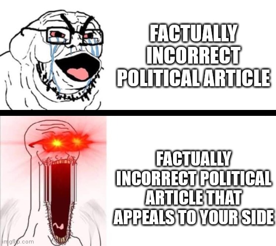 the | FACTUALLY INCORRECT POLITICAL ARTICLE; FACTUALLY INCORRECT POLITICAL ARTICLE THAT APPEALS TO YOUR SIDE | image tagged in hyper soyboy,memes,funny | made w/ Imgflip meme maker