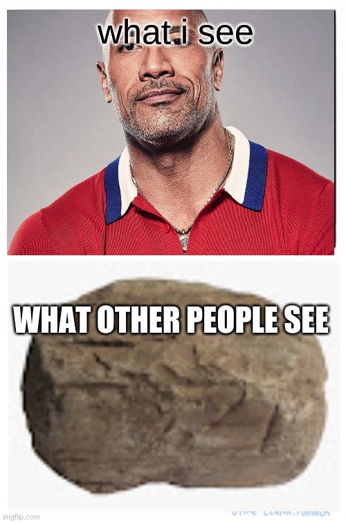 Two Buttons Meme |  what i see; WHAT OTHER PEOPLE SEE | image tagged in memes,the rock | made w/ Imgflip meme maker