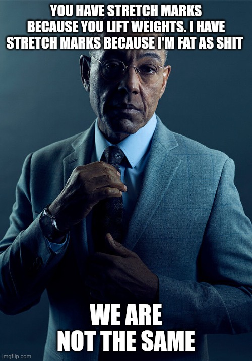 Gus Fring we are not the same |  YOU HAVE STRETCH MARKS BECAUSE YOU LIFT WEIGHTS. I HAVE STRETCH MARKS BECAUSE I'M FAT AS SHIT; WE ARE NOT THE SAME | image tagged in gus fring we are not the same,AdviceAnimals | made w/ Imgflip meme maker