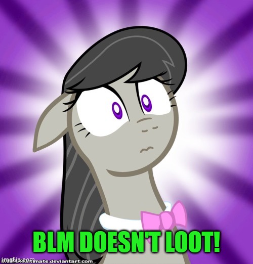 Shocked Octavia Melody | BLM DOESN'T LOOT! | image tagged in shocked octavia melody | made w/ Imgflip meme maker