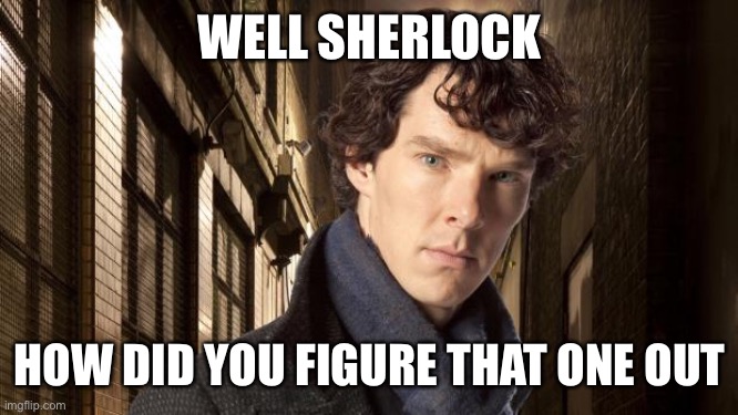 Sherlock holmes | WELL SHERLOCK HOW DID YOU FIGURE THAT ONE OUT | image tagged in sherlock holmes | made w/ Imgflip meme maker