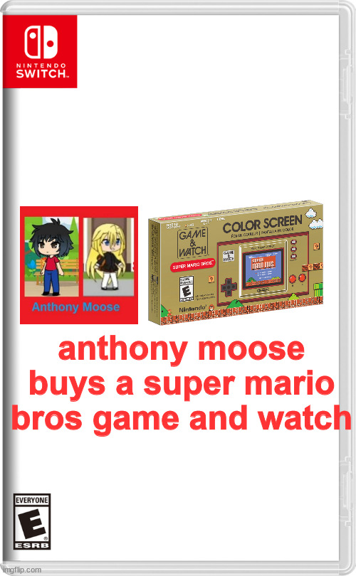 anthony moose buys a super mario bros game and watch | anthony moose buys a super mario bros game and watch | image tagged in nintendo switch | made w/ Imgflip meme maker