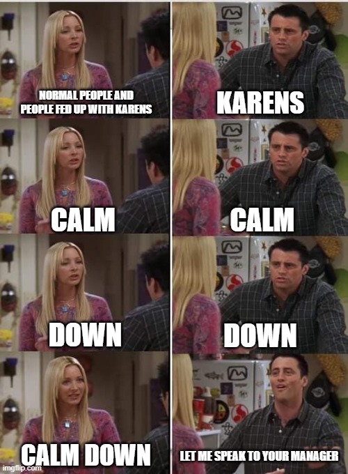 Karens, just stop man | NORMAL PEOPLE AND PEOPLE FED UP WITH KARENS; KARENS; CALM; CALM; DOWN; DOWN; CALM DOWN; LET ME SPEAK TO YOUR MANAGER | image tagged in phoebe joey | made w/ Imgflip meme maker