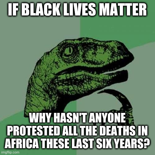 Philosoraptor | IF BLACK LIVES MATTER; WHY HASN'T ANYONE PROTESTED ALL THE DEATHS IN AFRICA THESE LAST SIX YEARS? | image tagged in memes,philosoraptor | made w/ Imgflip meme maker