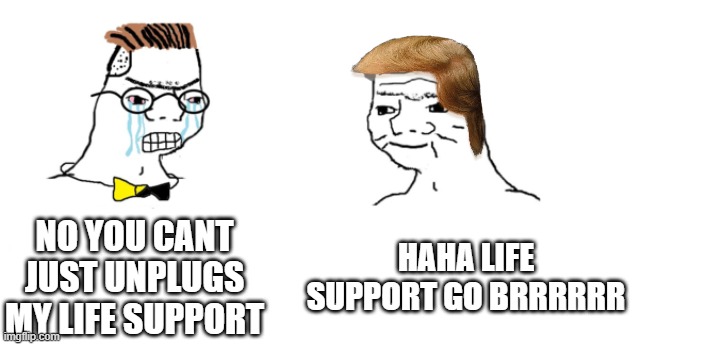 nooo haha go brrr | NO YOU CANT JUST UNPLUGS MY LIFE SUPPORT HAHA LIFE SUPPORT GO BRRRRRR | image tagged in nooo haha go brrr | made w/ Imgflip meme maker