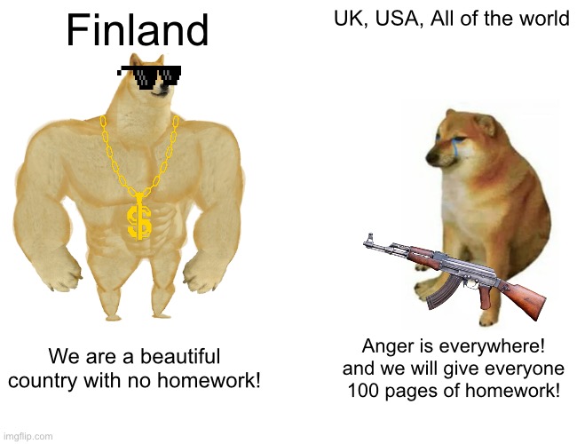 Buff Doge vs. Cheems Meme | Finland; UK, USA, All of the world; We are a beautiful country with no homework! Anger is everywhere! and we will give everyone 100 pages of homework! | image tagged in memes,buff doge vs cheems | made w/ Imgflip meme maker