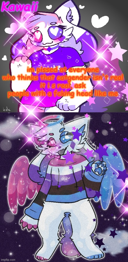 msnmsns | im pissed at everyone who thinks that catgender isn't real
it i s real, ask people with a fcking head like me | image tagged in ayyyyyy crystal got it goin on with her sparkly kittydog self | made w/ Imgflip meme maker