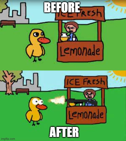 BEFORE; AFTER | image tagged in duck | made w/ Imgflip meme maker