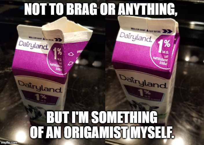 Origami | NOT TO BRAG OR ANYTHING, BUT I'M SOMETHING OF AN ORIGAMIST MYSELF. | image tagged in origami,but i'm something of an | made w/ Imgflip meme maker