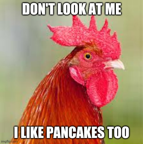rooster | DON'T LOOK AT ME I LIKE PANCAKES TOO | image tagged in rooster | made w/ Imgflip meme maker