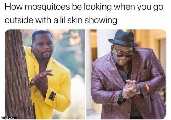 image tagged in memes,mosquitoes,funny | made w/ Imgflip meme maker