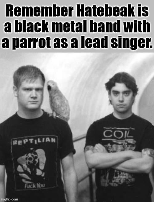 Remember Hatebeak is a black metal band with a parrot as a lead singer. | image tagged in metal | made w/ Imgflip meme maker