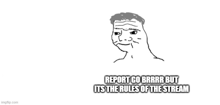 nooo haha go brrr | REPORT GO BRRRR BUT ITS THE RULES OF THE STREAM | image tagged in nooo haha go brrr | made w/ Imgflip meme maker