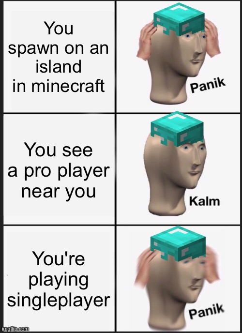 Minecraft logic | You spawn on an island in minecraft; You see a pro player near you; You're playing singleplayer | image tagged in memes,panik kalm panik | made w/ Imgflip meme maker