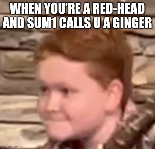 WHEN YOU’RE A RED-HEAD AND SUM1 CALLS U A GINGER | made w/ Imgflip meme maker