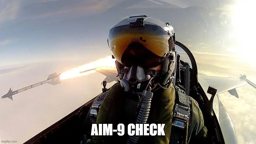 Fighter pilot missile | AIM-9 CHECK | image tagged in fighter pilot missile | made w/ Imgflip meme maker