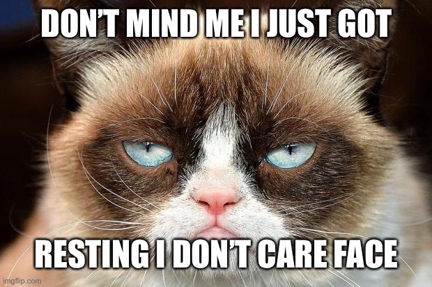 Grumpy Cat | DON’T MIND ME I JUST GOT; RESTING I DON’T CARE FACE | image tagged in memes,grumpy cat not amused,grumpy cat | made w/ Imgflip meme maker
