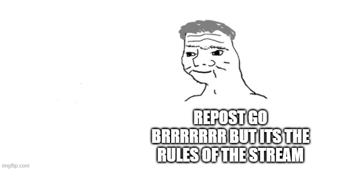 nooo haha go brrr | REPOST GO BRRRRRRR BUT ITS THE RULES OF THE STREAM | image tagged in nooo haha go brrr | made w/ Imgflip meme maker