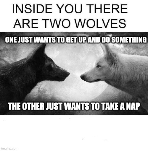 Inside you there are two wolves | ONE JUST WANTS TO GET UP AND DO SOMETHING; THE OTHER JUST WANTS TO TAKE A NAP | image tagged in inside you there are two wolves | made w/ Imgflip meme maker