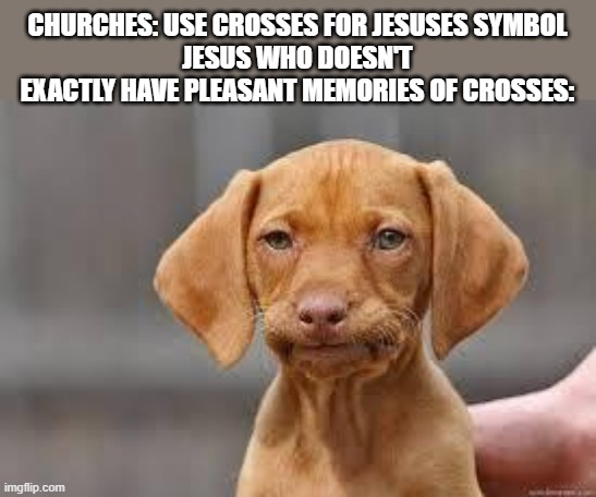 HE GOT CRUCIFIED ON ONE | CHURCHES: USE CROSSES FOR JESUSES SYMBOL
JESUS WHO DOESN'T EXACTLY HAVE PLEASANT MEMORIES OF CROSSES: | image tagged in disappointed dog | made w/ Imgflip meme maker