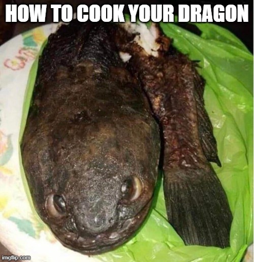How to cook your dragon |  HOW TO COOK YOUR DRAGON | image tagged in dragon,how to,cook,train | made w/ Imgflip meme maker