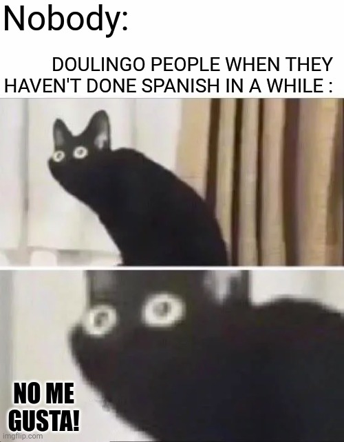 Moral of the story: Never use Duolingo | Nobody:; DOULINGO PEOPLE WHEN THEY HAVEN'T DONE SPANISH IN A WHILE :; NO ME GUSTA! | image tagged in oh no black cat | made w/ Imgflip meme maker