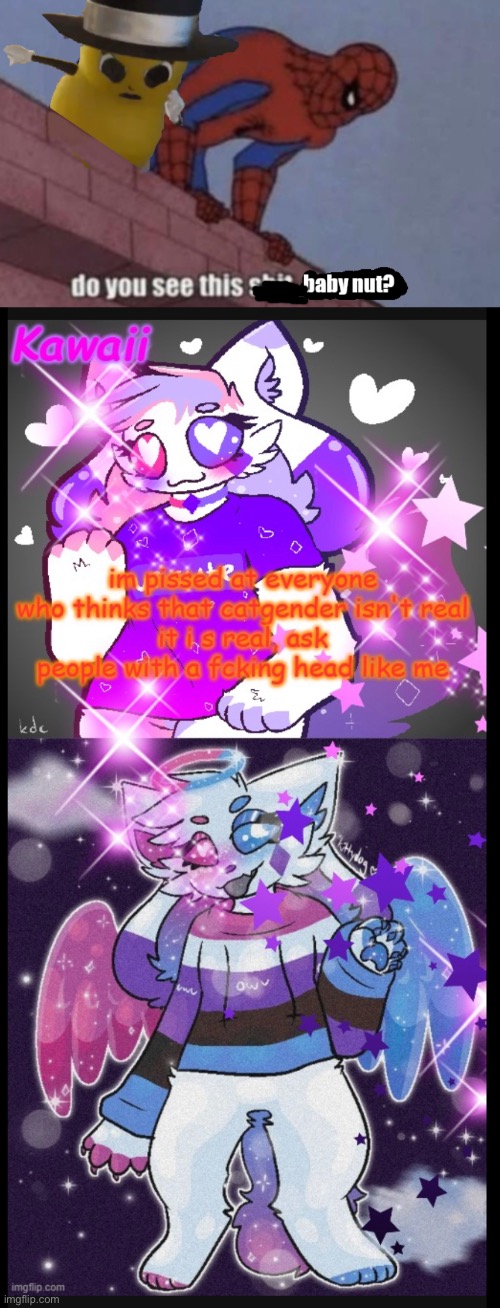 There’s a CATgender?  Maybe Kawaii really is 9 years old. | image tagged in do you see this shit baby nut | made w/ Imgflip meme maker